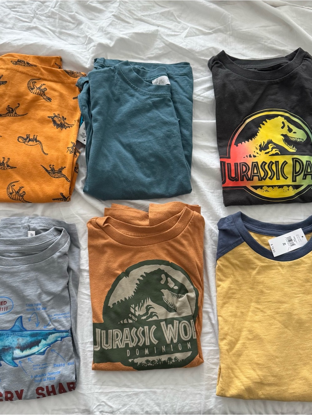 Boys bundle of long sleeve and short sleeve shirts size 8 6 shirts!